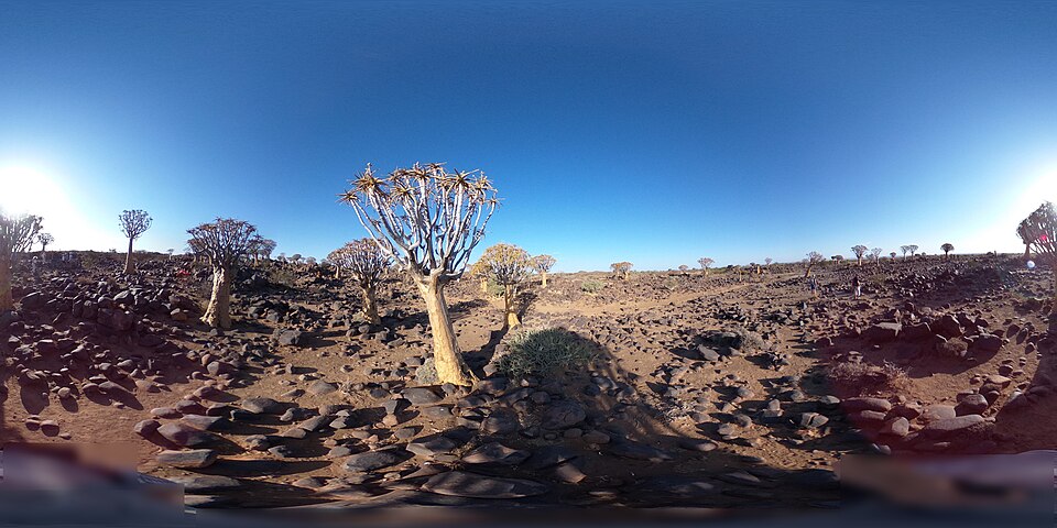 Natuurspeelplaats