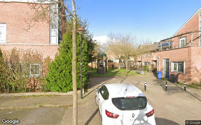 Speeltuin Stalkruid